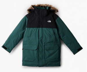 Куртка стильная с капюшоном The North Face Boys Mcmurdo Down Parka