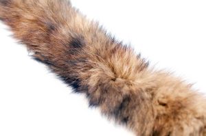 Натуральная меховая опушка Bask Енот (хвост)