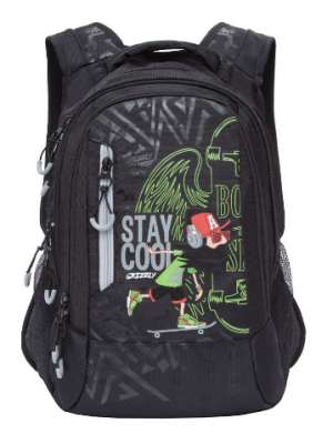 Молодежный рюкзак Grizzly 17