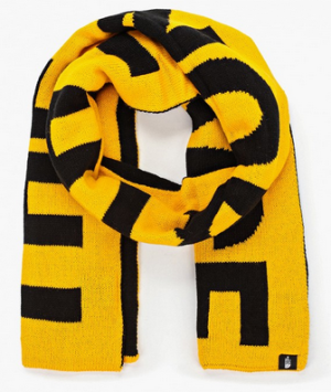 Комфортный шарф The North Face Logo Scarf