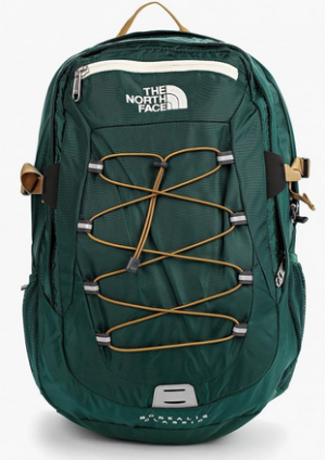 Спортивный рюкзак The North Face Borealis 29