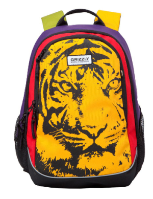 Рюкзак молодежный Grizzly 12.5