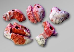 Зацепы для скалодромов Top Point #043