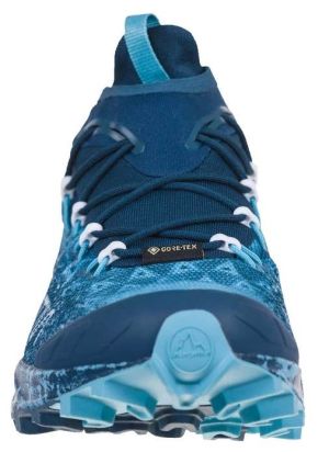 Кроссовки беговые La Sportiva Tempesta Gtx