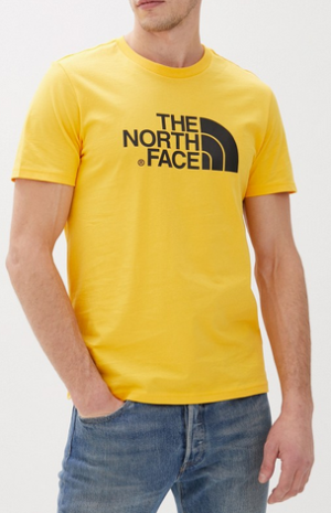 Футболка фирменная для мужчин The North Face Easy