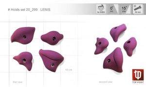 Набор зацепов для скалолазания Top Point Lenis #299