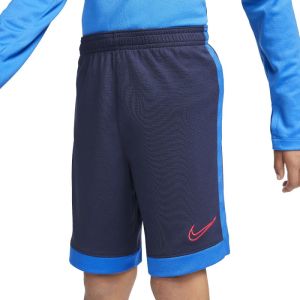 Детские шорты для спорта Nike Dri-FIT Academy