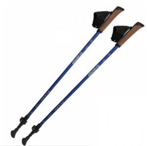 Палки для скандинавской ходьбы Tramp Flash