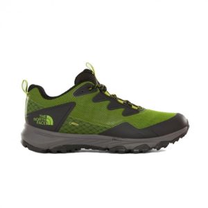 Спортивные мужские кроссовки The North Face M Ultra Fp III Gtx