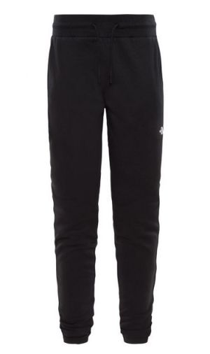 Брюки женские из флиса The North Face Fine