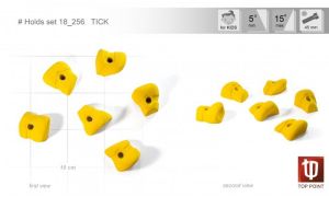 Набор зацепок для скалодрома Top Point Tick #256