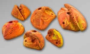 Набор зацепов для скалолазания Top Point #004