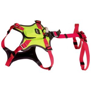 Альпинистская привязь для собак Camp Kronos