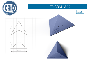Формовой рельеф для скалолазания Crio Holds Trigonum 02