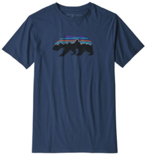 Футболка из органического хлопка Patagonia Fitz Roy Bear Organic T-Shirt