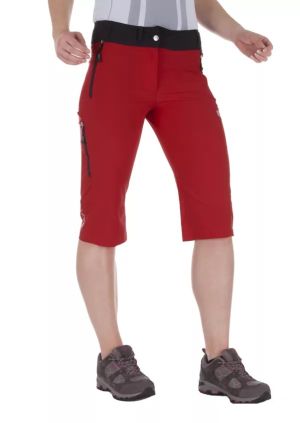 Удобные шорты Nord Blanc S13 3540