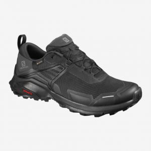 Мужские кроссовки Salomon Shoes x raise gtx 