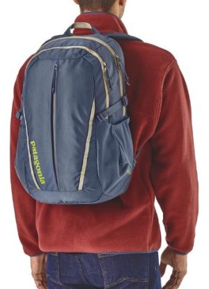 Вместительный рюкзак Patagonia Refugio Pack 28