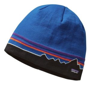 Стильная шапка Patagonia Beanie