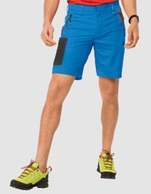 Мужские универсальные шорты Jack Wolfskin Active Track Shorts Men