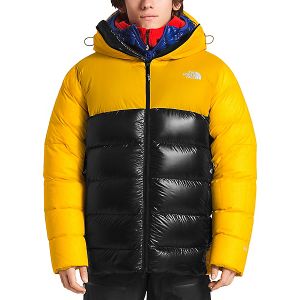 Пуховик прочный мужской The North Face Summit L6 Down Belay Parka
