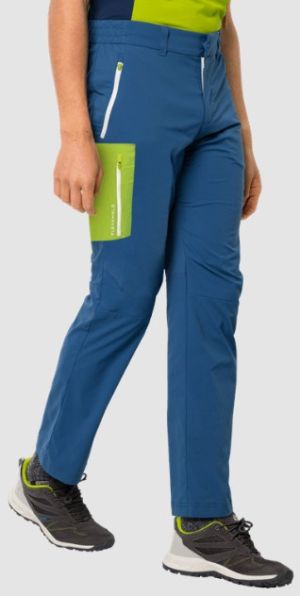 Мужские брюки Jack Wolfskin Overland Pants M