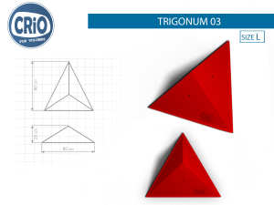 Формовой рельеф для скалолазания Crio Holds Trigonum 03