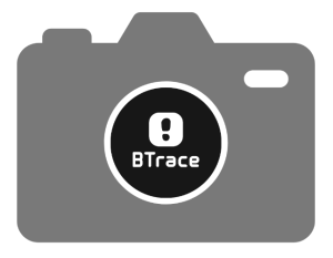 Гермобаул BTrace Bull