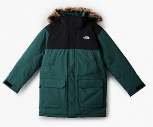 The North Face Куртка стильная с капюшоном The North Face Boys Mcmurdo Down Parka