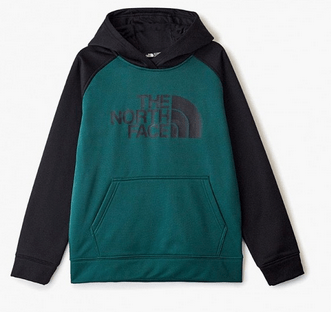 The North Face Стильное детское худи для мальчиков The North Face Surgent Pullover Hoodie