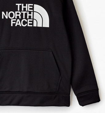 The North Face Стильное детское худи для мальчиков The North Face Surgent Pullover Hoodie