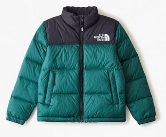 The North Face Стильный детский пуховик The North Face Y Retro Nuptse