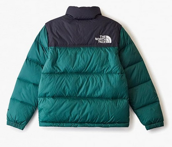 The North Face Стильный детский пуховик The North Face Y Retro Nuptse