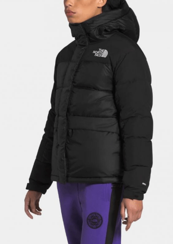 The North Face Теплая куртка женская The North Face Hmlyn Down Parka 