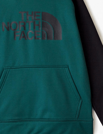 The North Face Стильное детское худи для мальчиков The North Face Surgent Pullover Hoodie