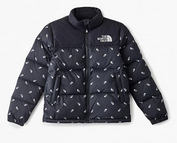 The North Face Стильный детский пуховик The North Face Y Retro Nuptse