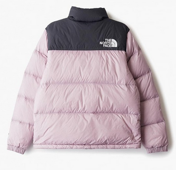 The North Face Стильный детский пуховик The North Face Y Retro Nuptse