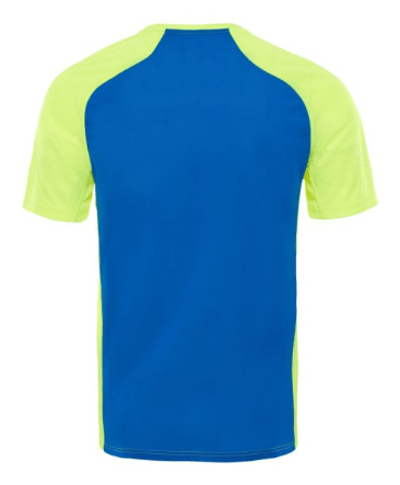 The North Face Стильная мужская футболка The North Face Ambition S/S