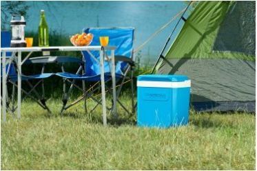 Campingaz Вместительный контейнер Campingaz Icetime Plus 30