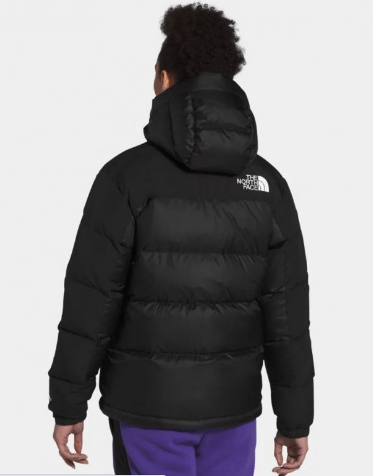 The North Face Теплая куртка женская The North Face Hmlyn Down Parka 