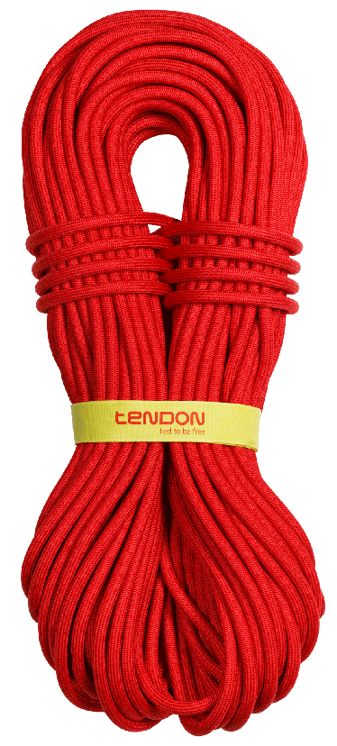 Tendon Прочная веревка Tendon Master Pro 9.2 Complete Shield UIAA Water repellent