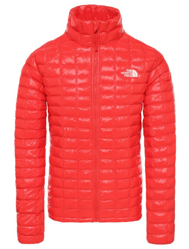 The North Face Куртка утепленная  мужская The North Face Thermoball Eco