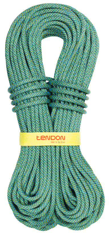 Tendon Мягкая веревка Tendon Master 9.4 Complete Shield UIAA Water repellent