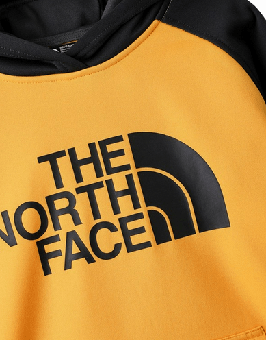 The North Face Стильное детское худи для мальчиков The North Face Surgent Pullover Hoodie