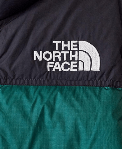 The North Face Стильный детский пуховик The North Face Y Retro Nuptse