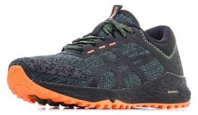 Asics Asics - Комфортные мужские кроссовки Alpine XT