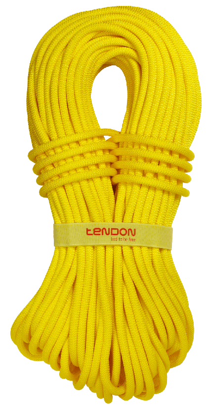 Tendon Прочная веревка Tendon Ambition 9.8 Standard