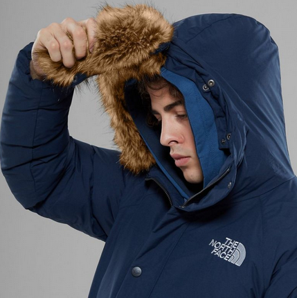 The North Face Аляска зимняя мужская The North Face Serow