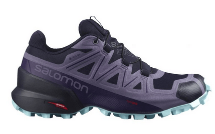 Salomon Беговые кроссовки Salomon Speedcross 5 GTX W