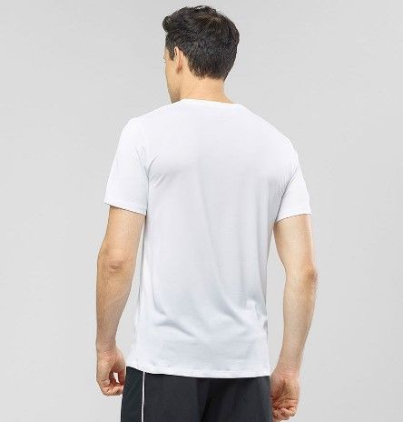 Salomon Легкая мужская футболка Salomon Agile Graphic Tee